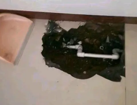淮滨卫生间测漏水多少钱